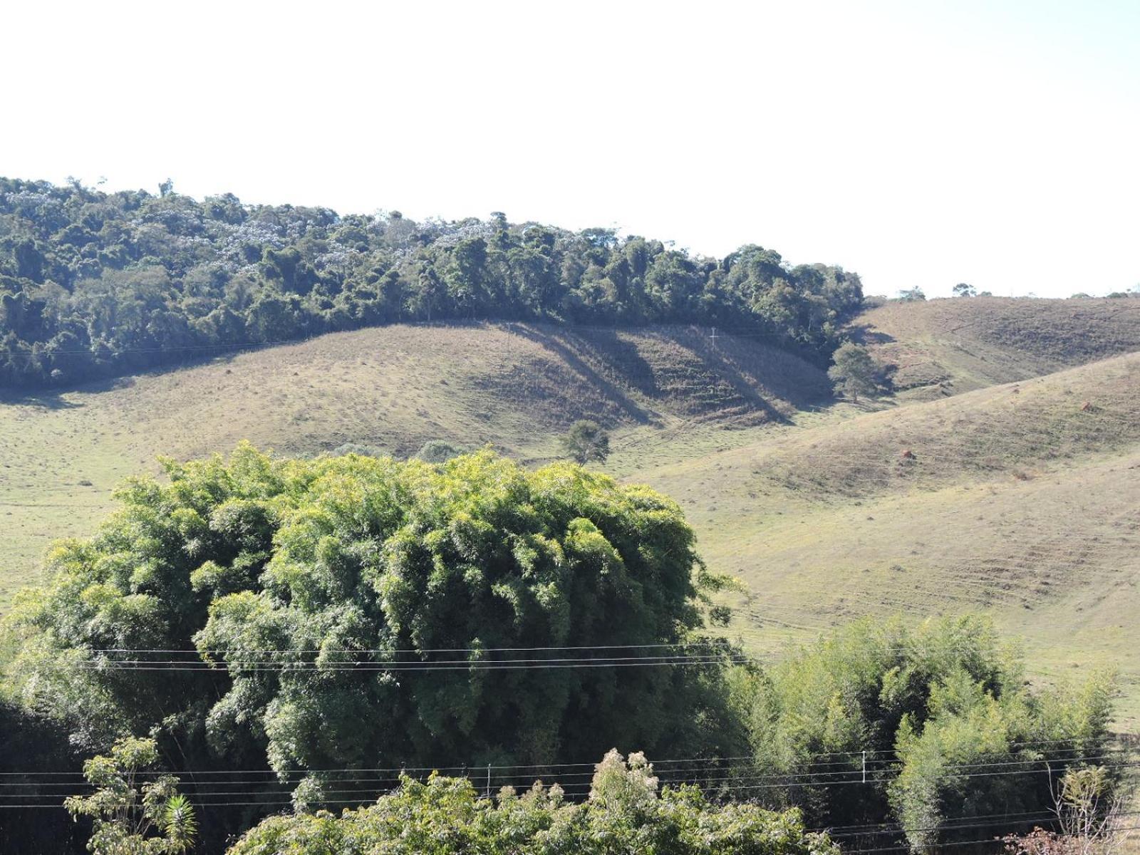 Pousada Vista Verde Cunha Bilik gambar