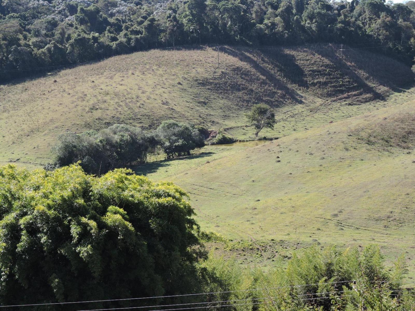 Pousada Vista Verde Cunha Bilik gambar