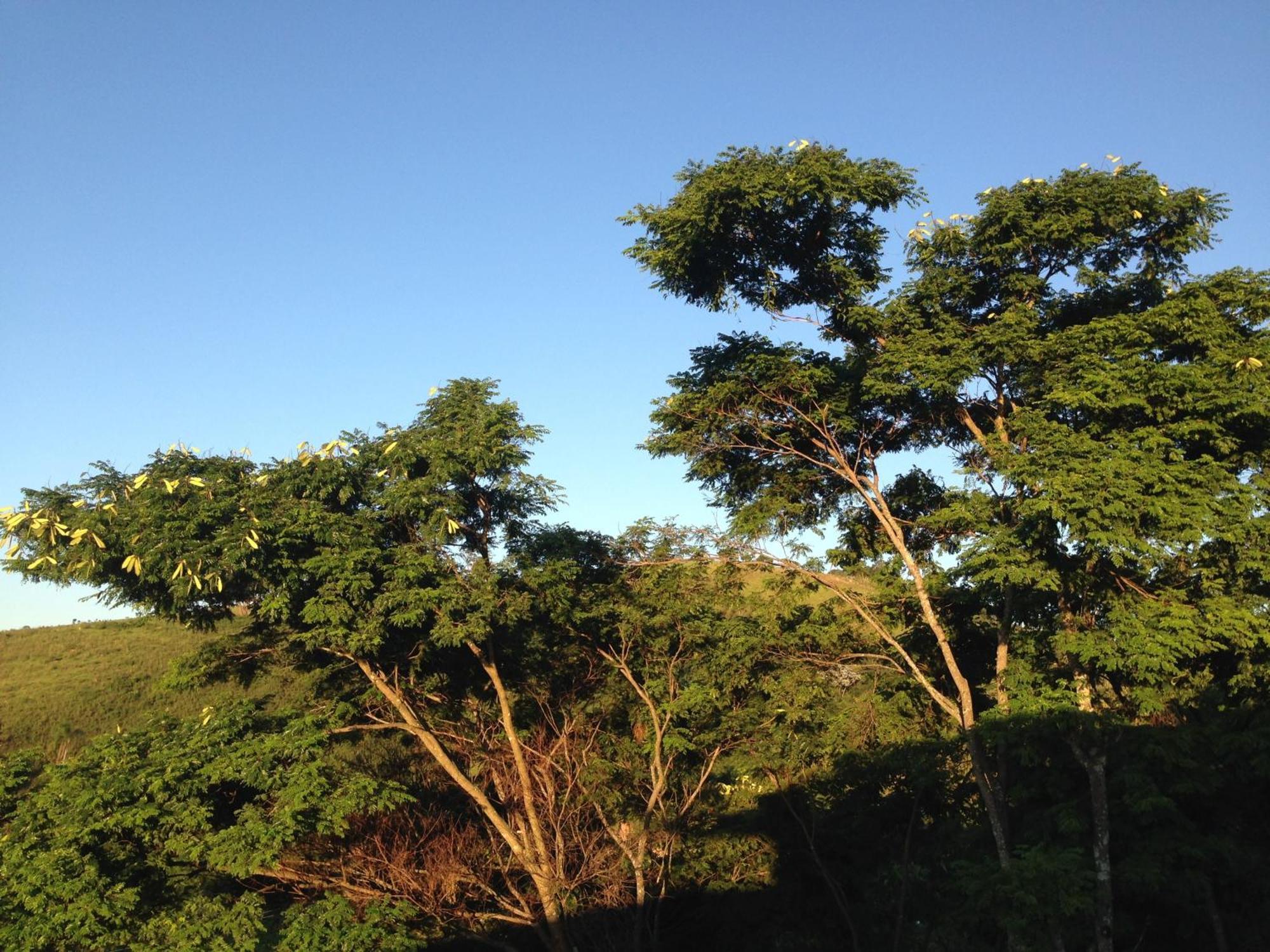 Pousada Vista Verde Cunha Bilik gambar